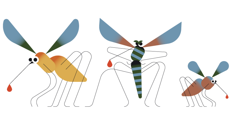 Immagine di tre zanzare