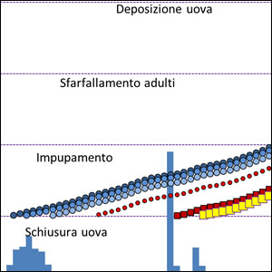 Modello di sviluppo e previsionale di Aedes albopictus, zanzara tigre 2020