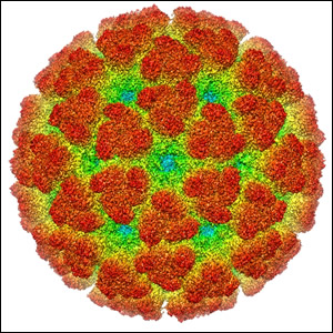 Casi importati di arbovirus in Emilia-Romagna nel 2020