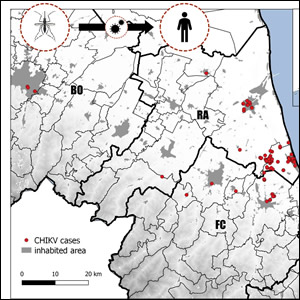 Nuovo studio sulla dispersione di femmine di Zanzara Tigre infette da arbovirus