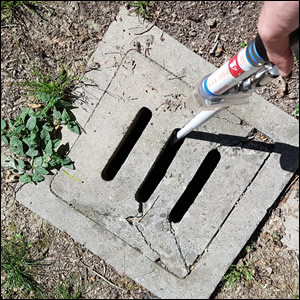 Utilizzo di prodotti antilarvali e controlli di qualità sui trattamenti larvicidi in Emilia-Romagna - anno 2025