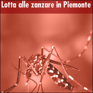 Ipla Piemonte